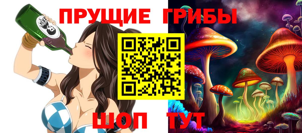 Псилоцибиновые грибы мицелий  купить наркотик  Полевской  Вход с VPN 